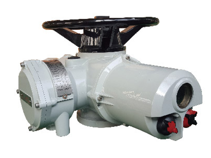 RJ、RJM多回轉(zhuǎn)智能型電動(dòng)執(zhí)行器