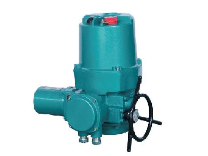 Q型整體型、調(diào)節(jié)型戶(hù)外電動(dòng)裝置